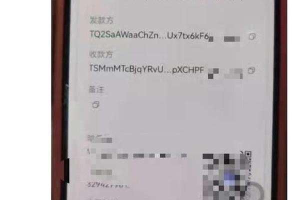 百科 第213页