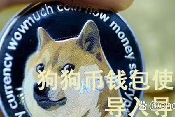 NFT 第224页